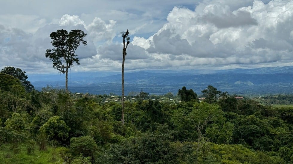 Property in San Isidro, San Jose