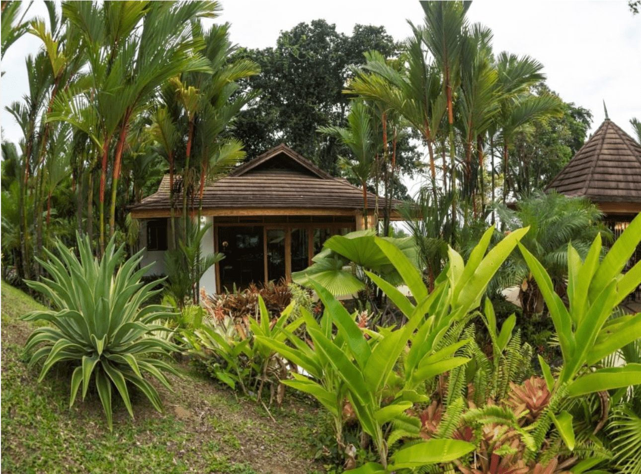 Luxury Estate in Limon