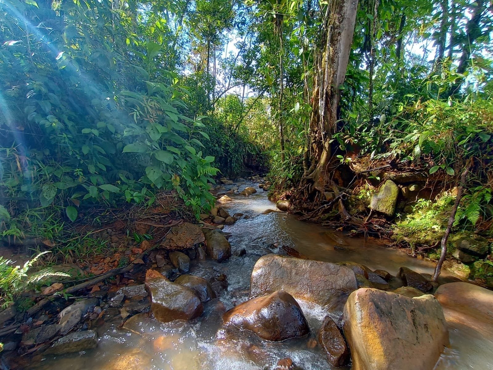 Property in Santiago, Costa Rica