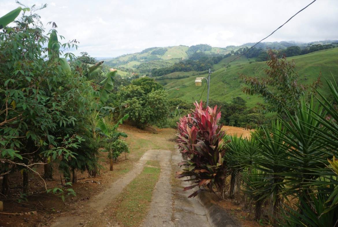 Property in Perez Zeledon