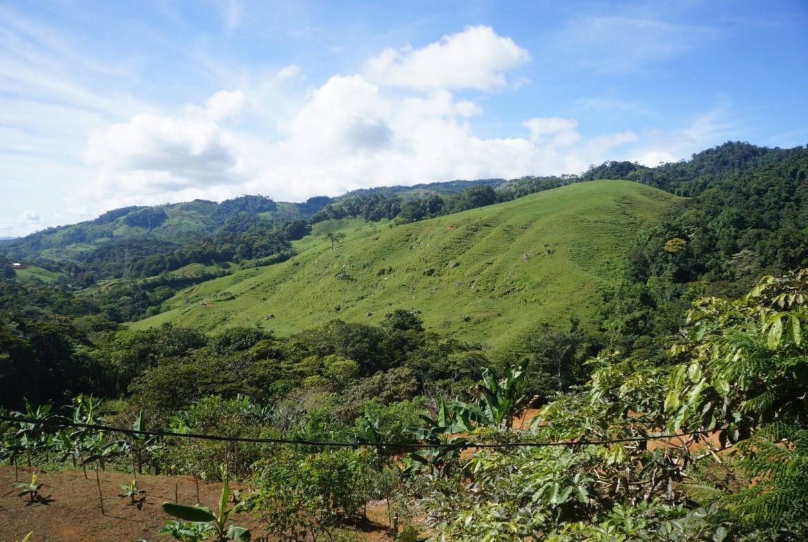 Property in Perez Zeledon