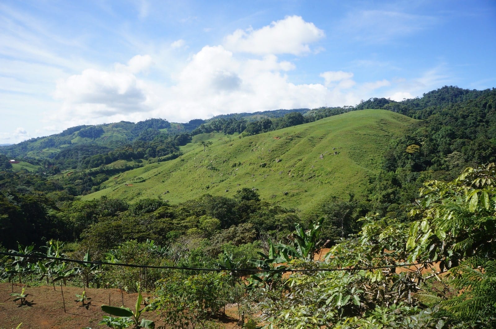 Property in Perez Zeledon