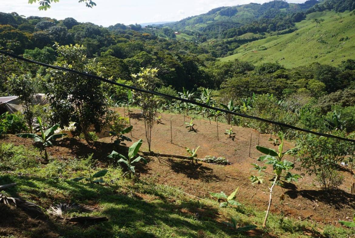 Property in Perez Zeledon