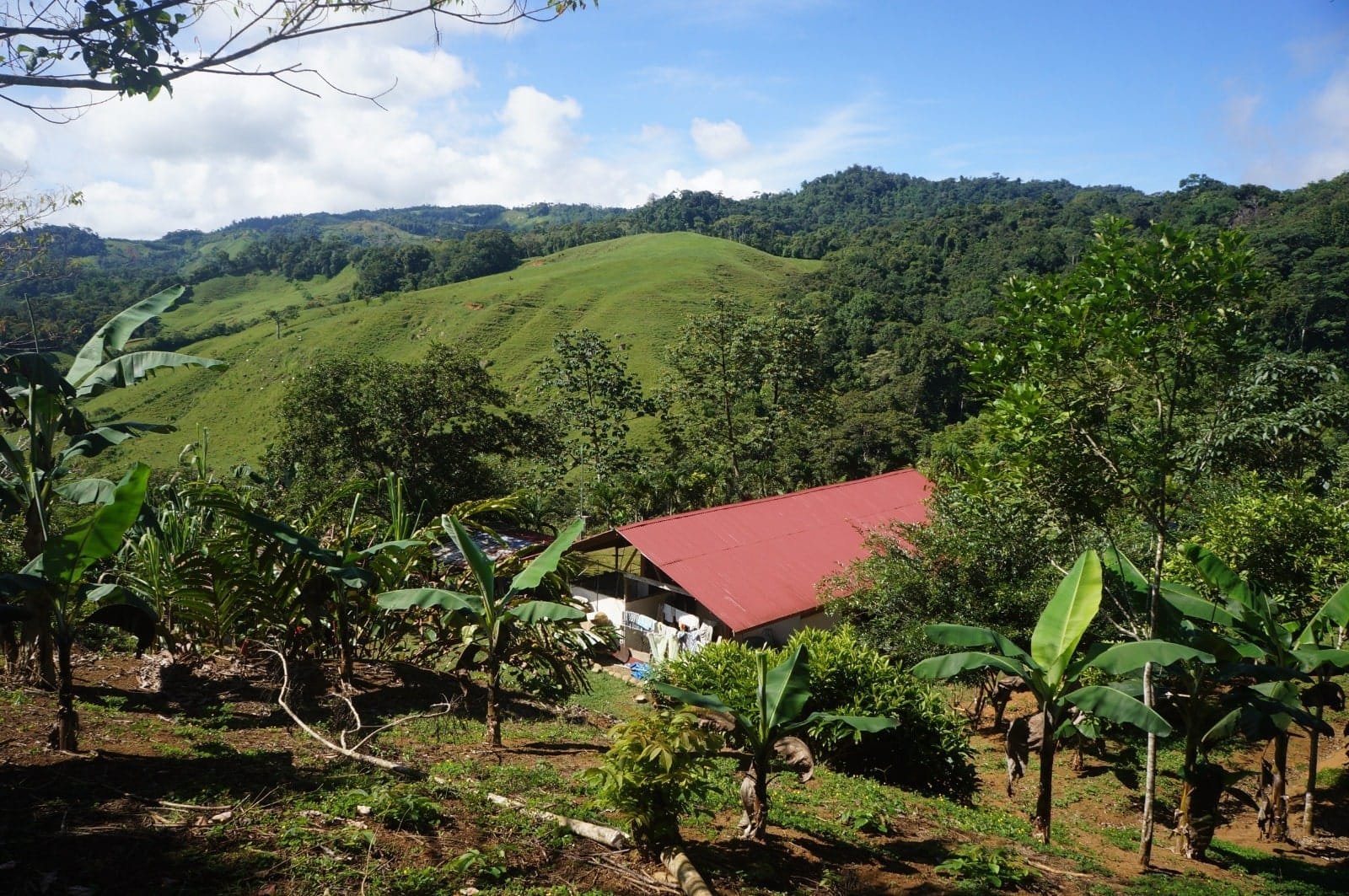 Property in Perez Zeledon