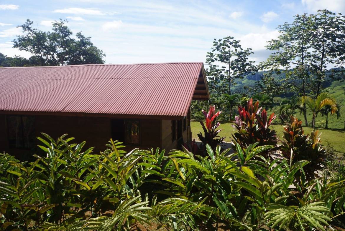 Property in Perez Zeledon