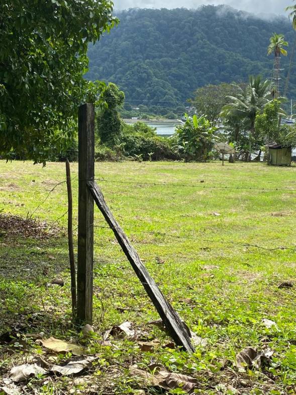 Farm in Golfito