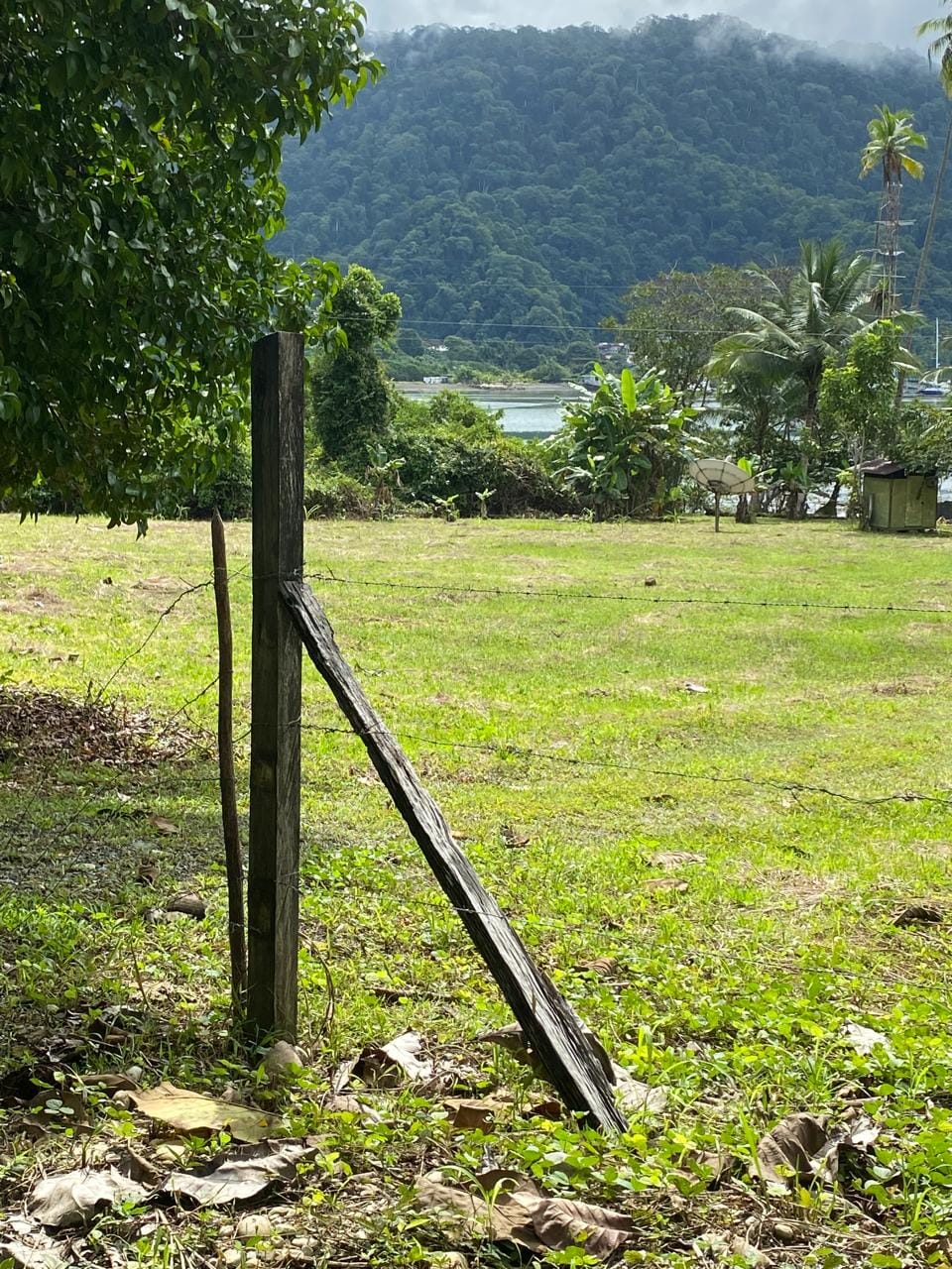 Farm in Golfito