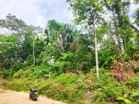 Land for sale in Santa Teresa