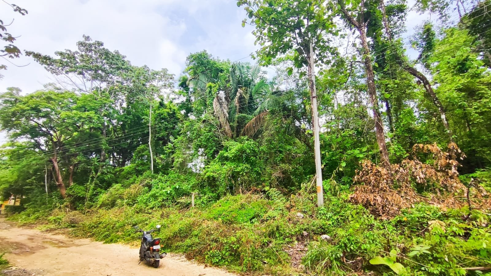 Land for sale in Santa Teresa