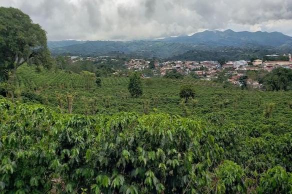 Land in Naranjo, Alajuela