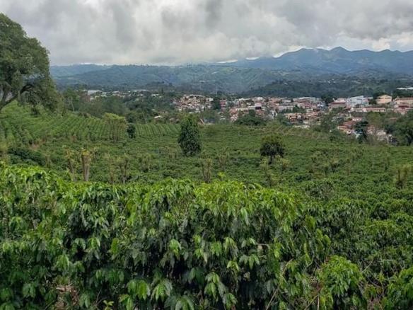 Land in Naranjo, Alajuela