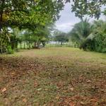 Development opportunity in Pavones