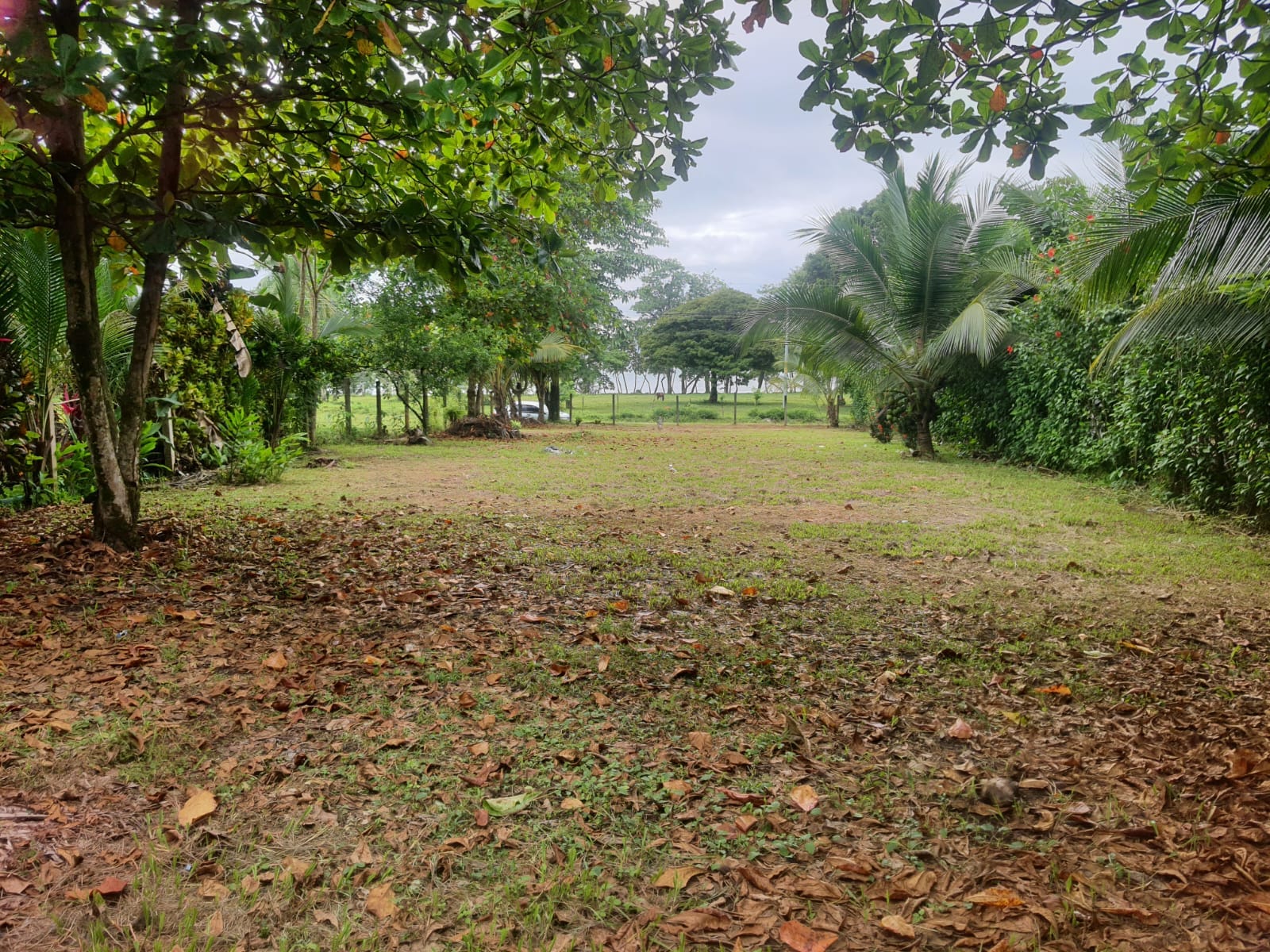 Development opportunity in Pavones