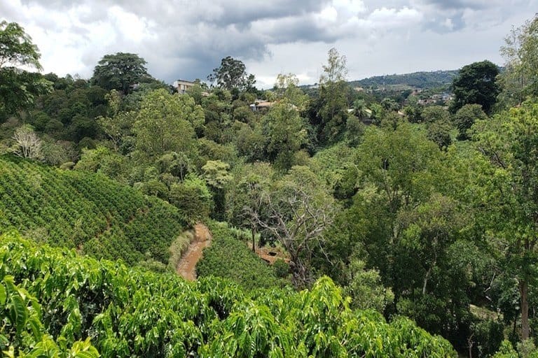 Land in Naranjo, Alajuela