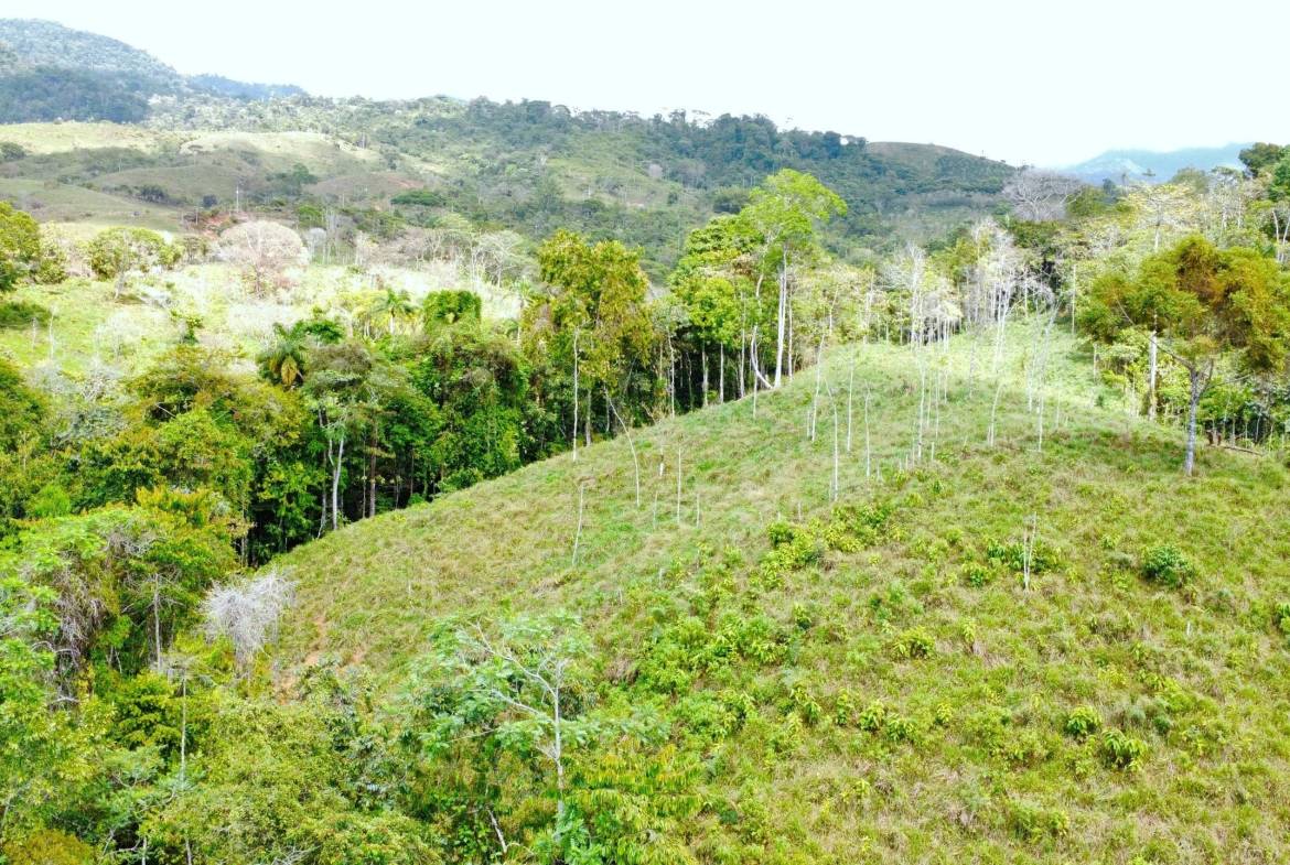 Property in Santiago, Costa Rica