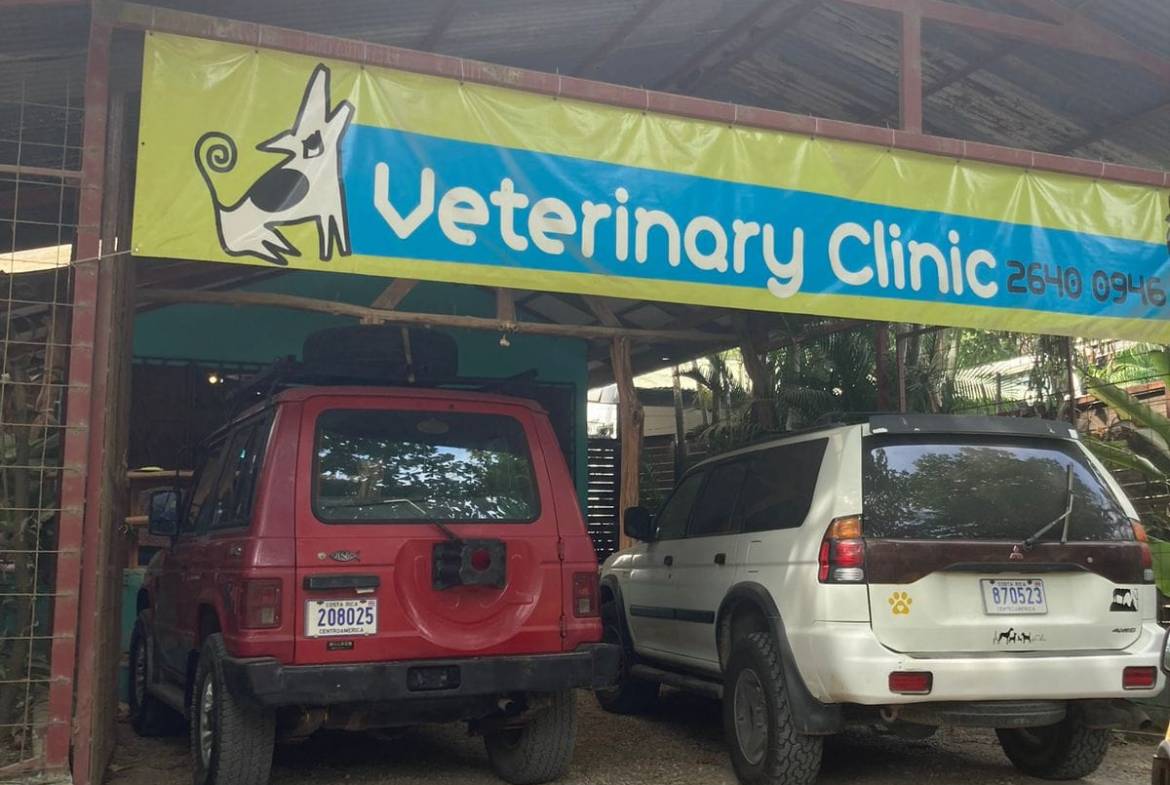 Investment opportunity in Santa Teresa