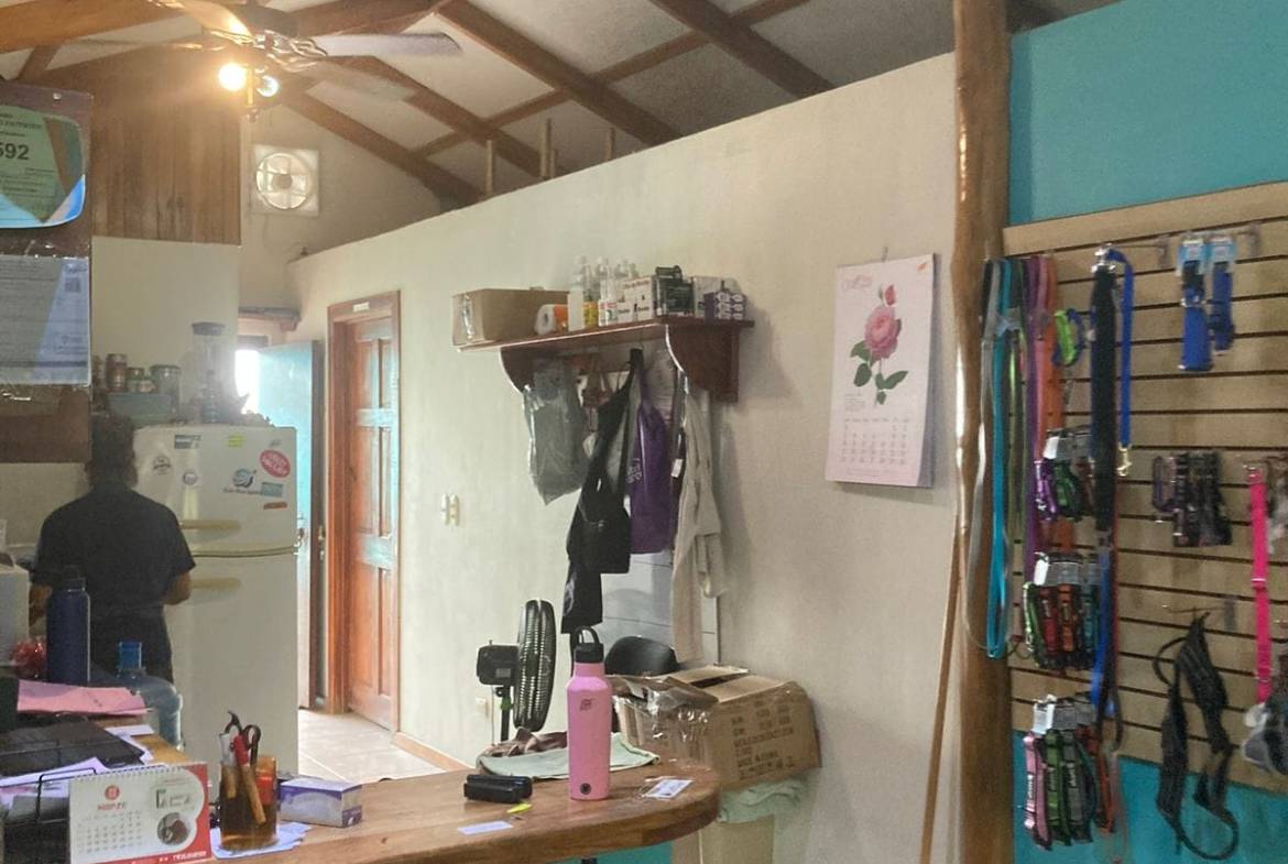 Investment opportunity in Santa Teresa