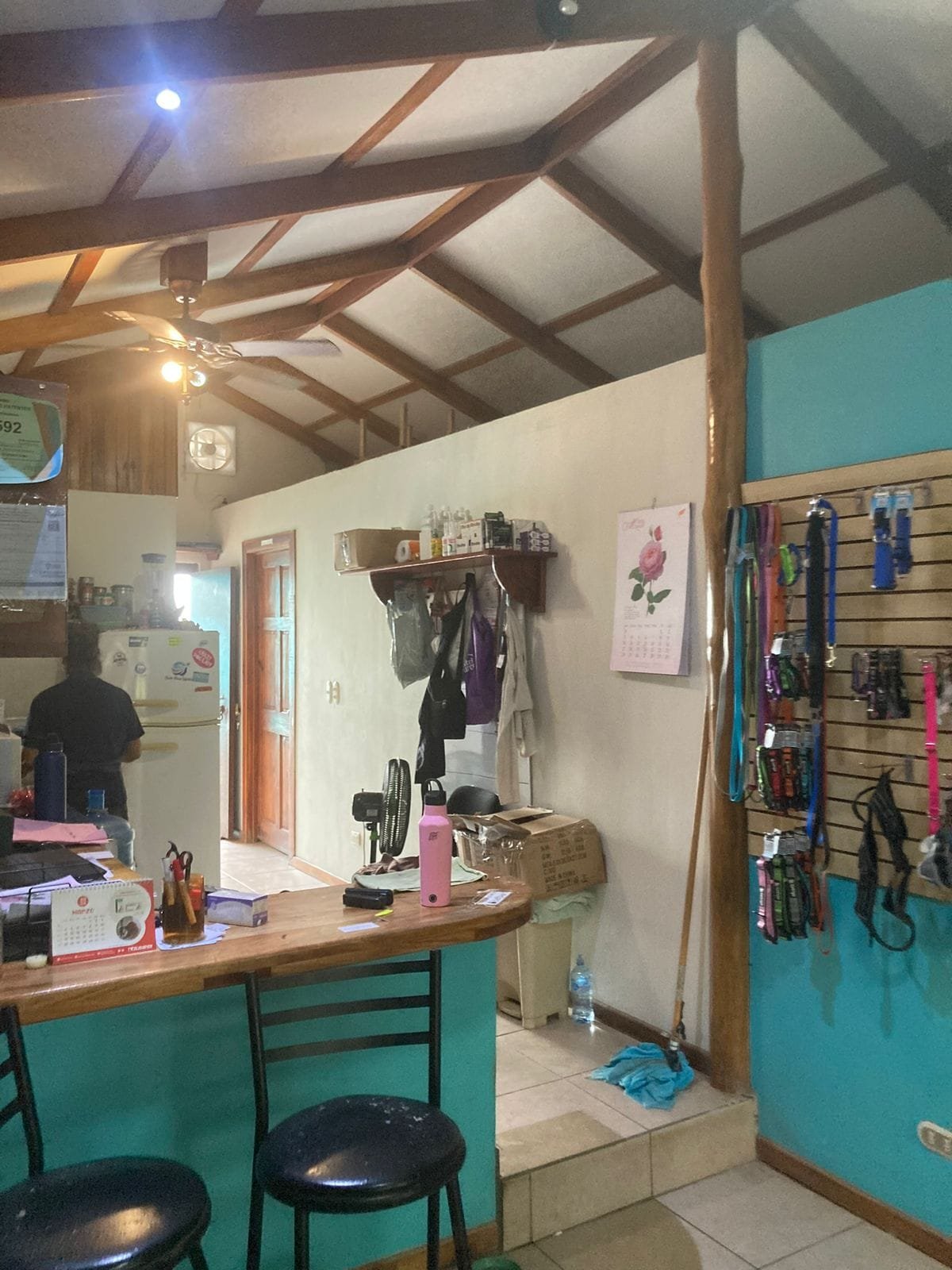 Investment opportunity in Santa Teresa