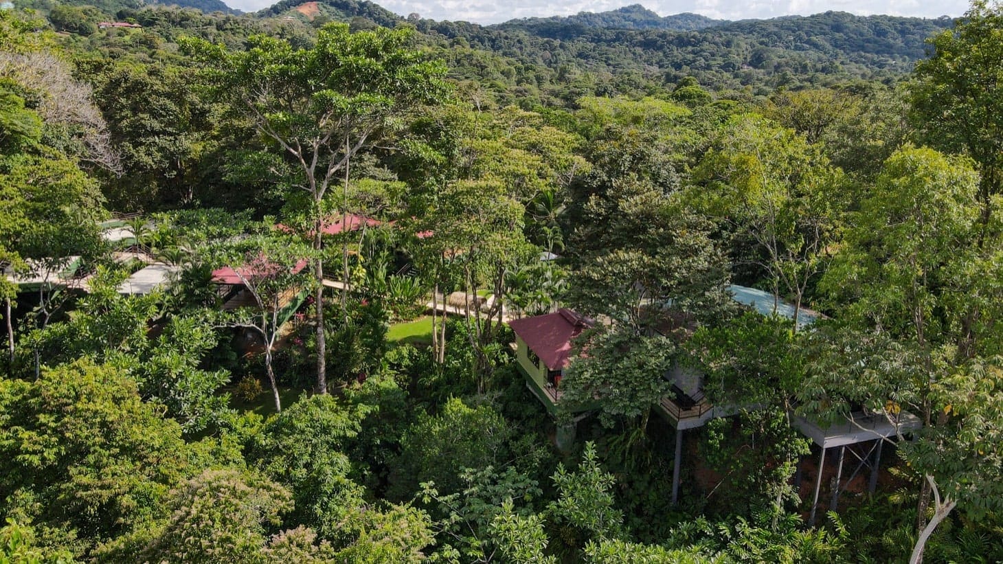 Commercial Property in Ojochal