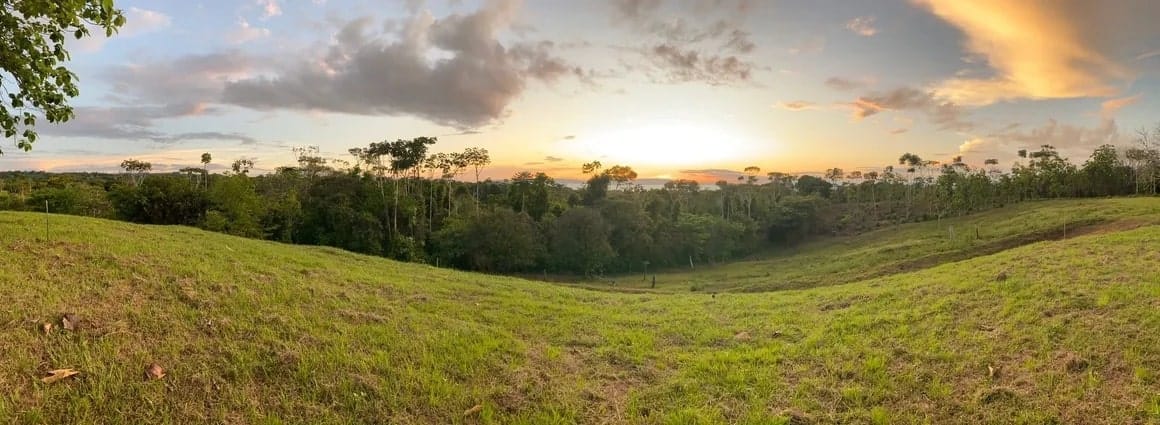 Land in Cuervito for sale