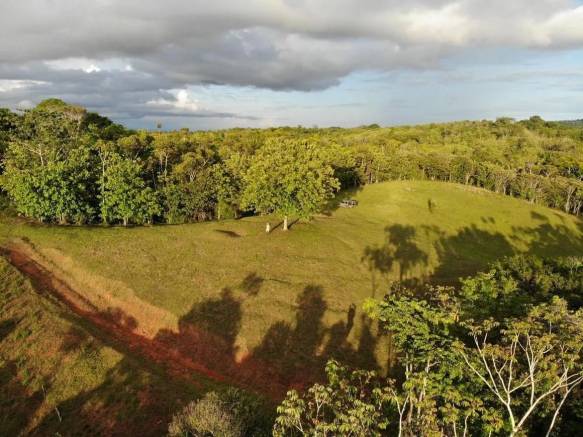 Land in Cuervito for sale