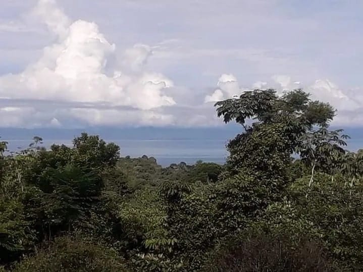 Land in Cuervito for sale