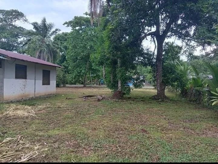 Development opportunity in Playa Canaza
