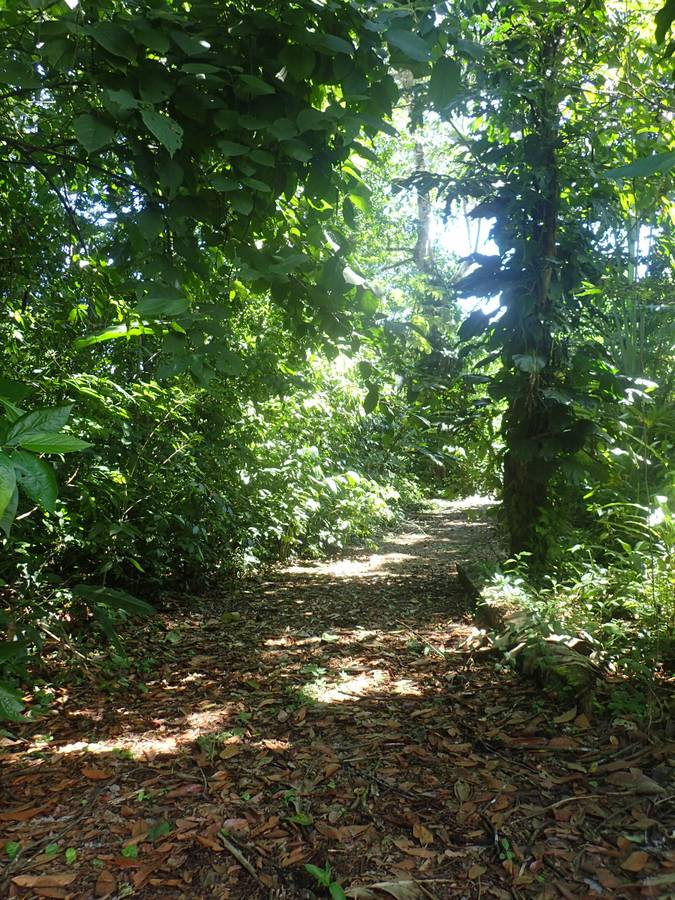 Jungle home in Playa Zancudo