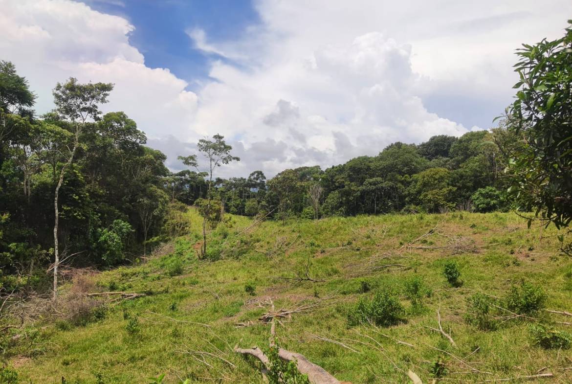 Land with ocean view in Cuervito