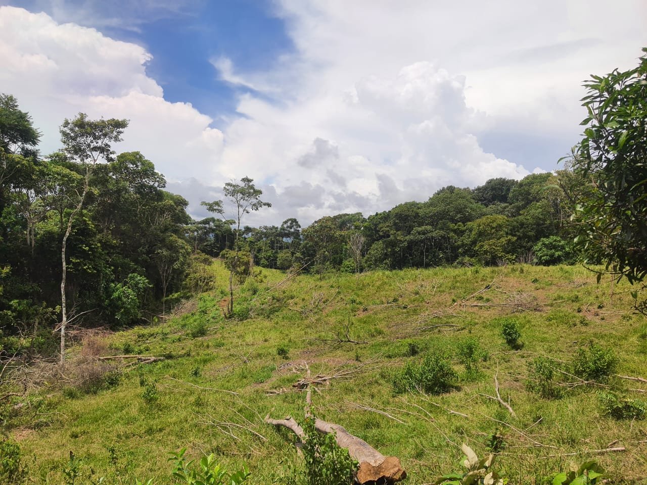 Land with ocean view in Cuervito