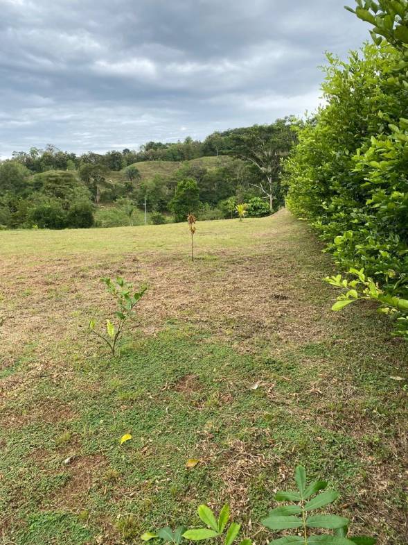 Development opportunity in Golfito