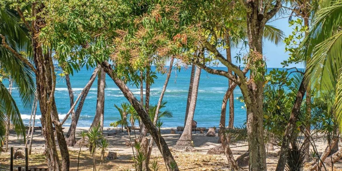 Beachfront estate in Malpais