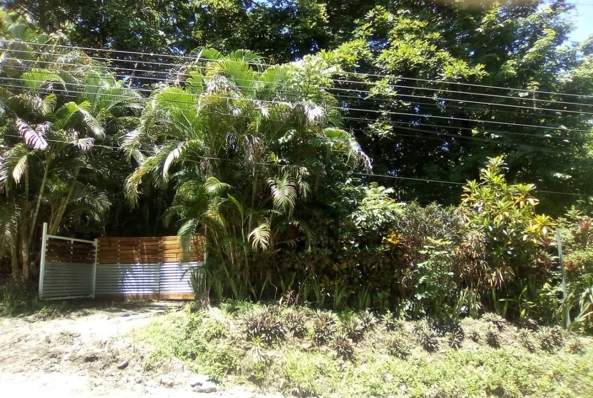 Land in Playa Hermosa, Santa Teresa