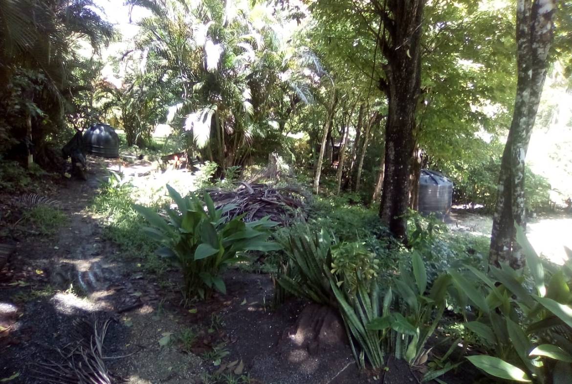 Land in Playa Hermosa, Santa Teresa