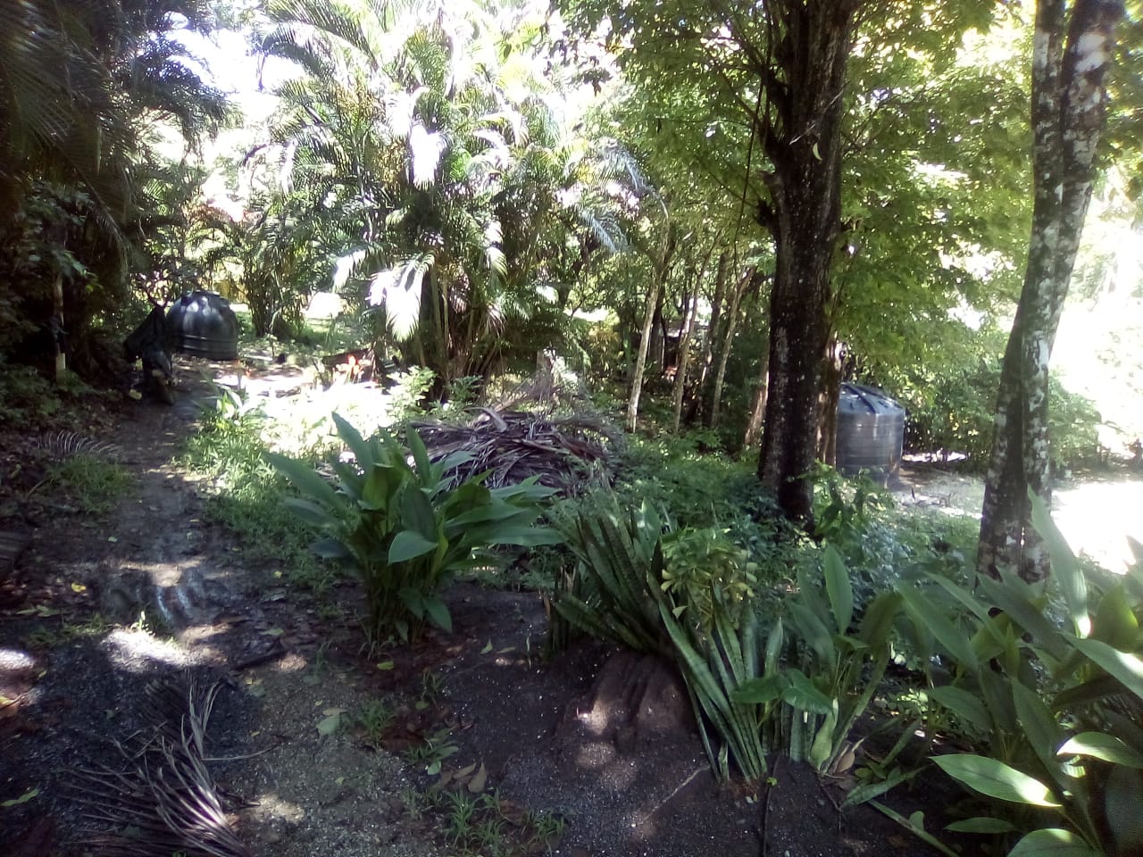 Land in Playa Hermosa, Santa Teresa