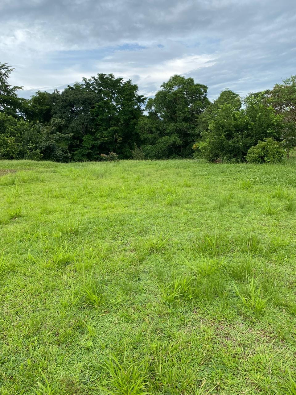 Development opportunity in Golfito