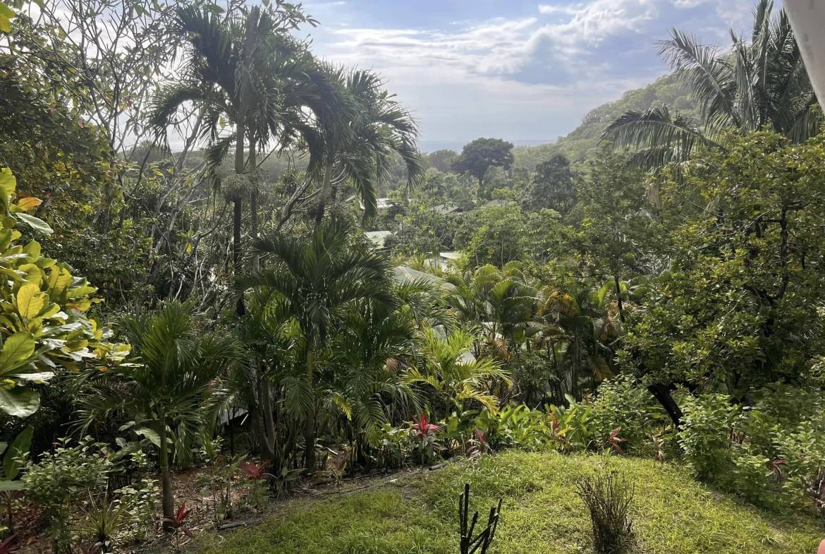 2 homes in Playa Hermosa