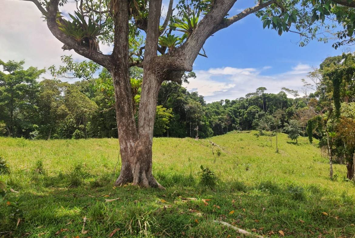 Land with ocean view in Cuervito