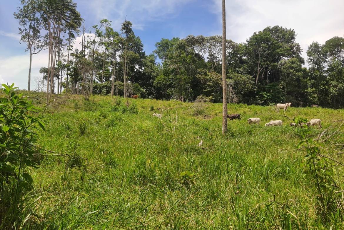 Land with ocean view in Cuervito