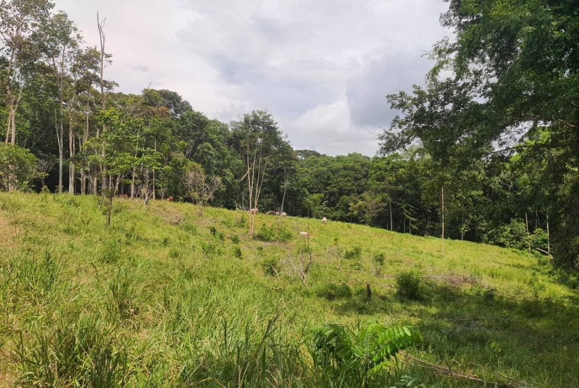 Land with ocean view in Cuervito