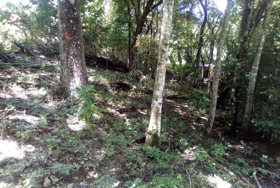 Land in Playa Hermosa, Santa Teresa