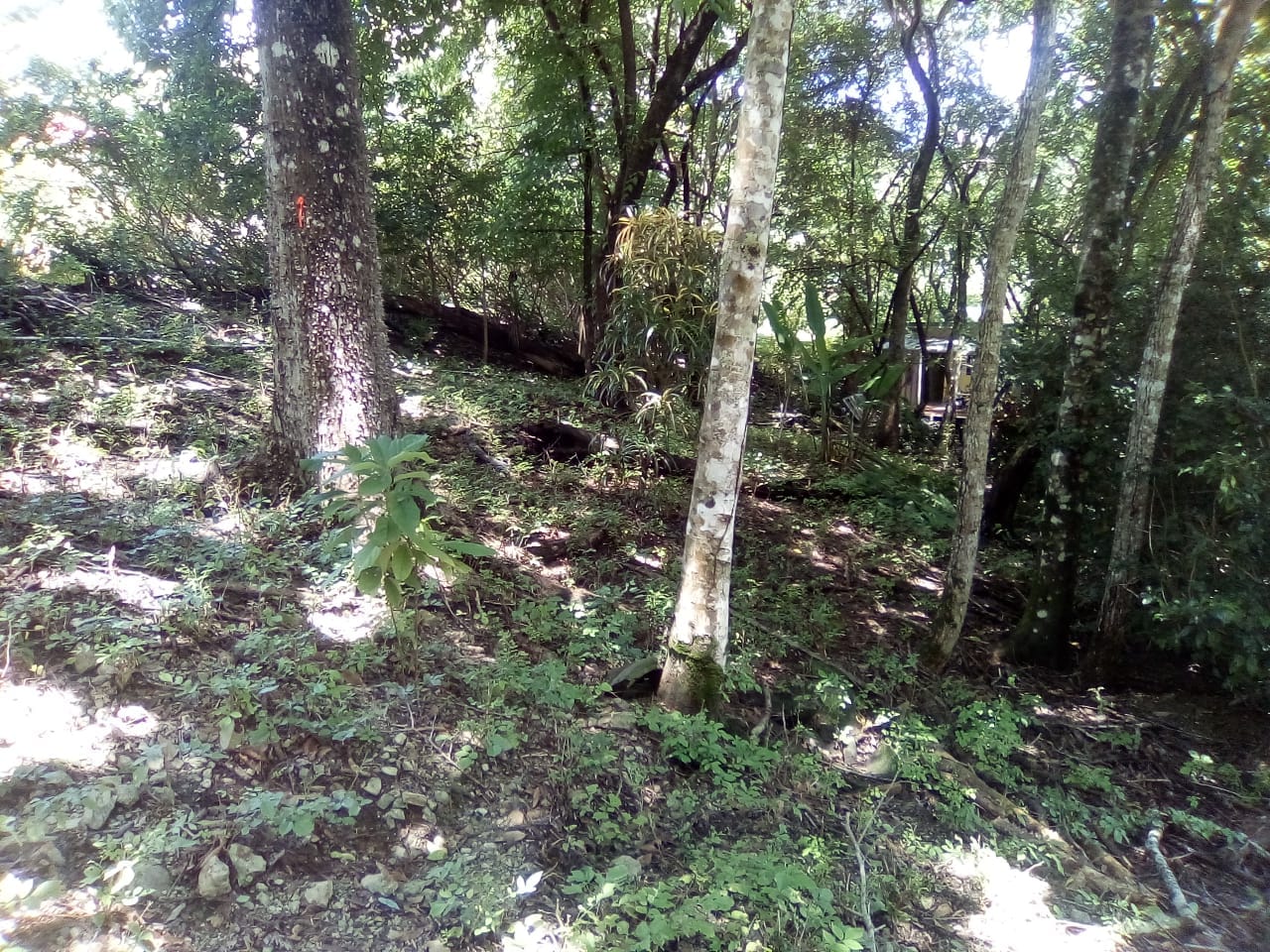 Land in Playa Hermosa, Santa Teresa