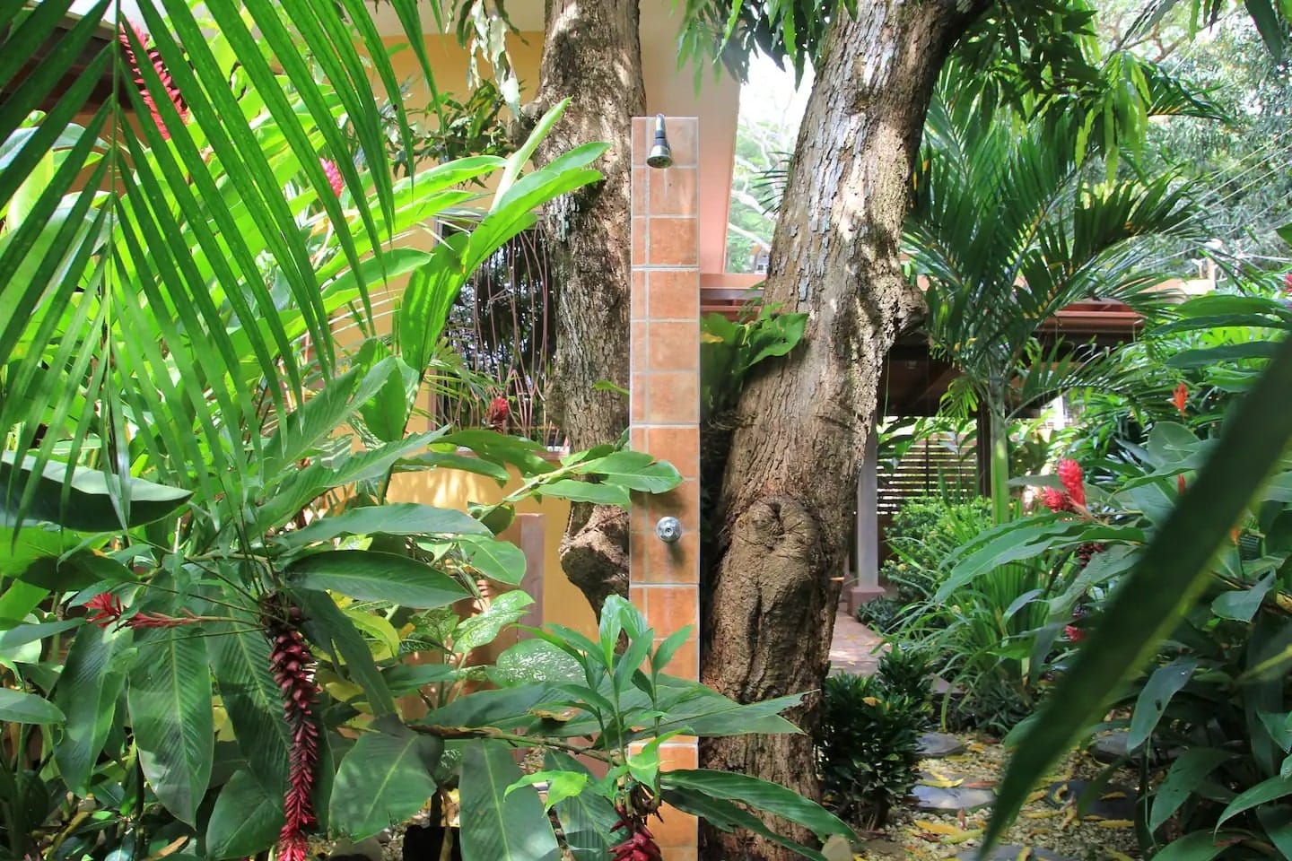 Cozy home in the heart of Santa Teresa