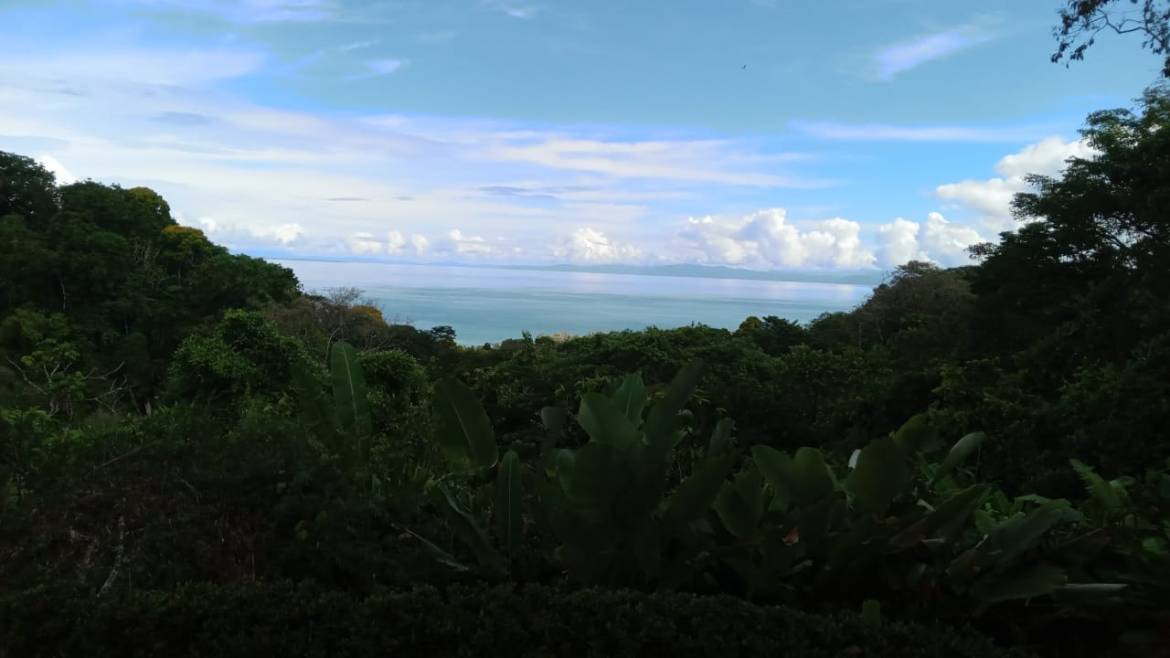 Land with ocean view in Pavones