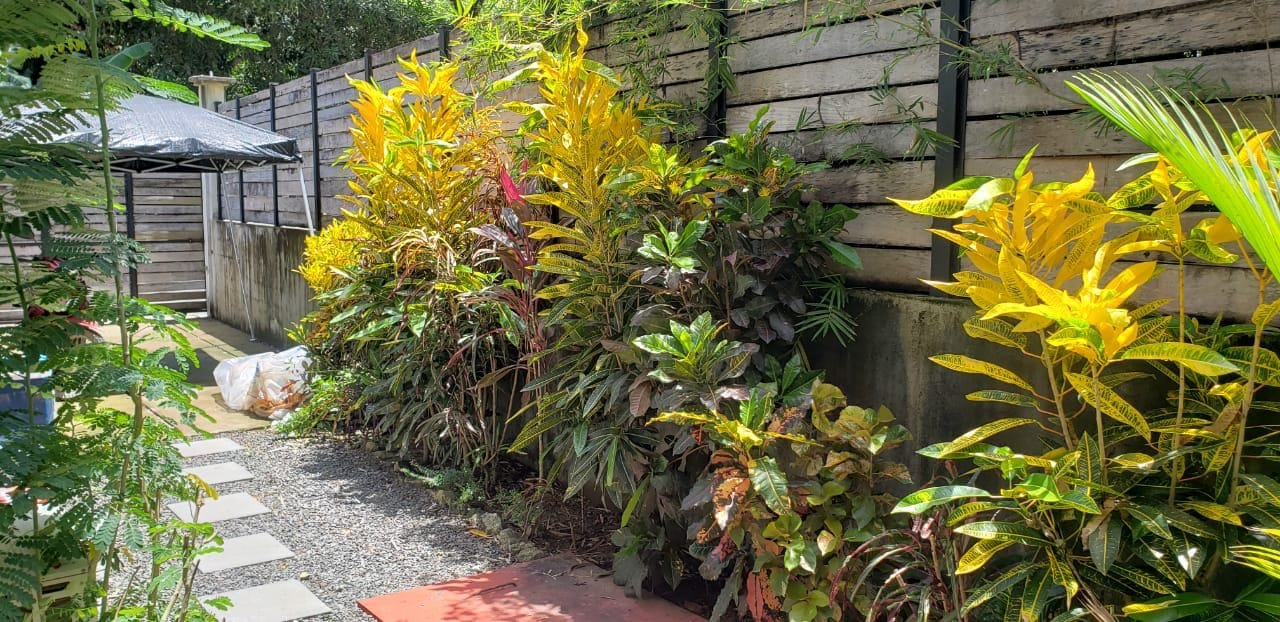 Home in Santa Teresa