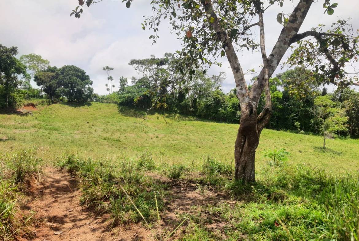 Land with ocean view in Cuervito