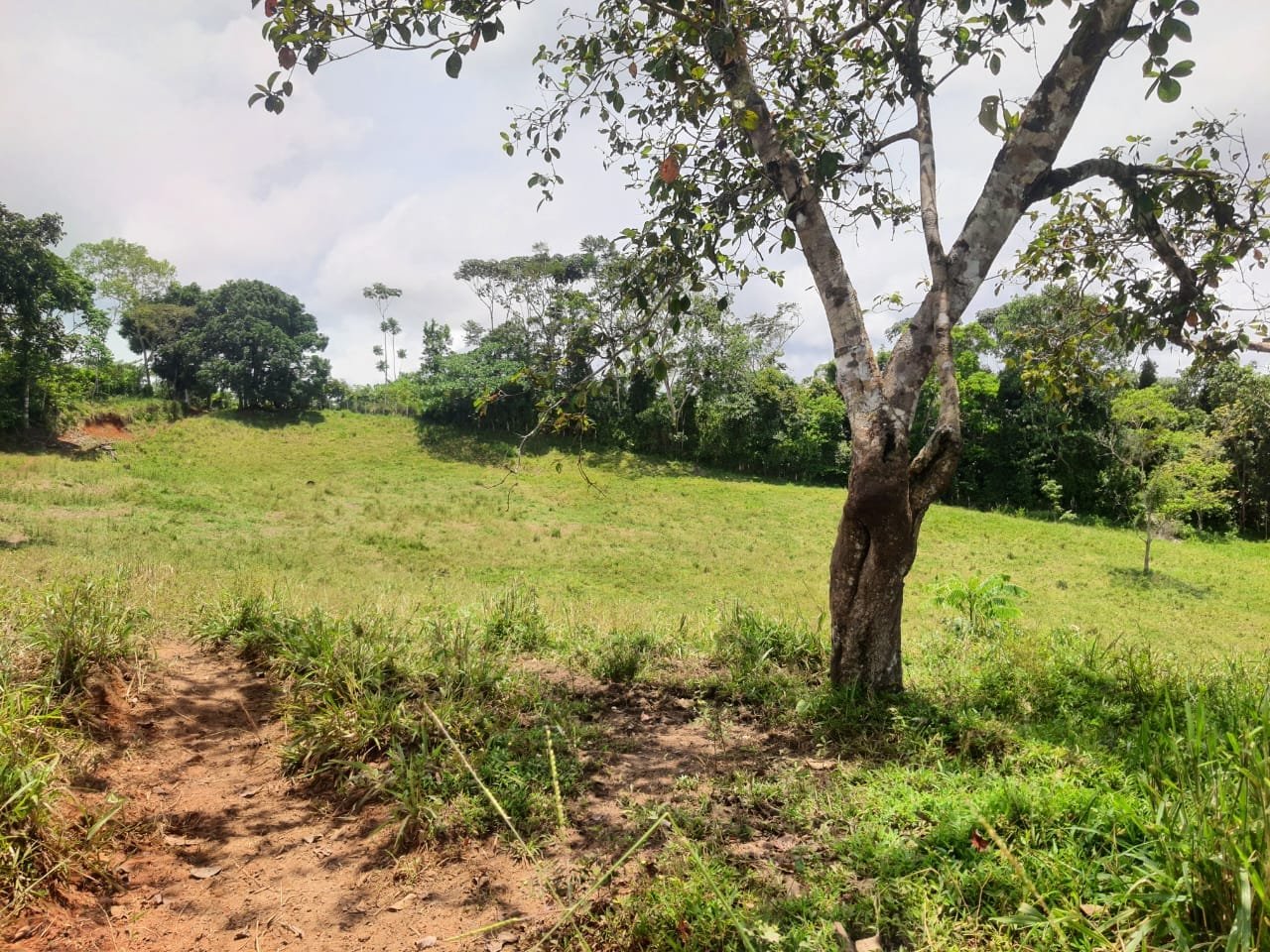 Land with ocean view in Cuervito