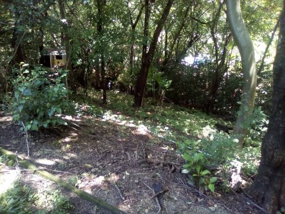 Land in Playa Hermosa, Santa Teresa