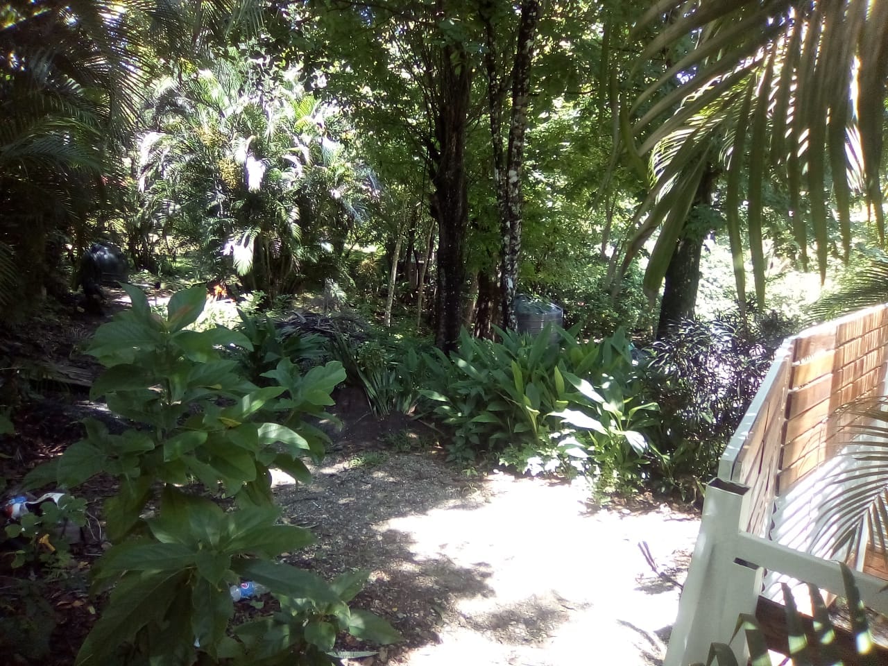 Land in Playa Hermosa, Santa Teresa