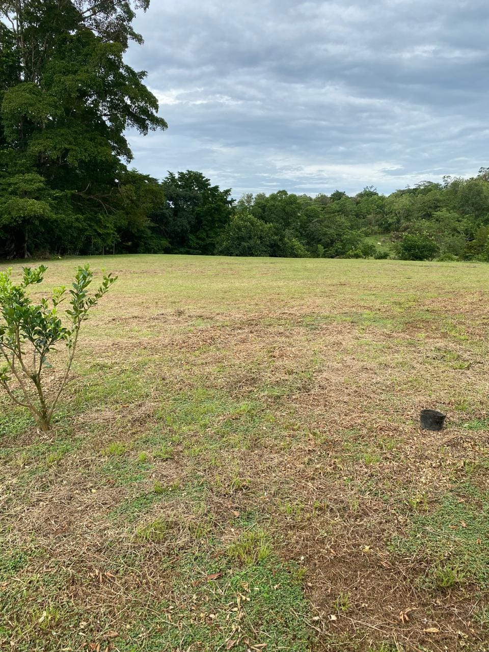 Development opportunity in Golfito